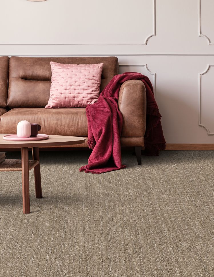 brown texturerd carpets in a stylish Denver living room