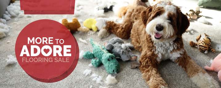 floors best friend sale