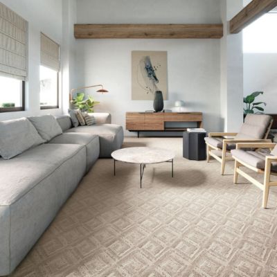 patterned carpet in a Denver living room