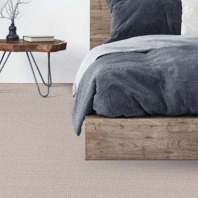 carpet in a rustic Denver bedroom
